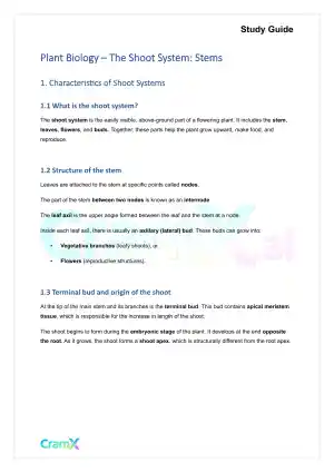 Plant Biology - The Shoot System Stems