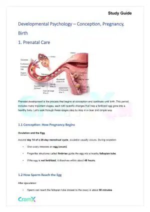Developmental Psychology - Conception, Pregnancy, Birth