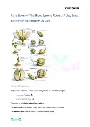 Plant Biology - The Shoot System Flowers, Fruits, Seeds