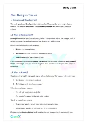 Plant Biology - Tissues