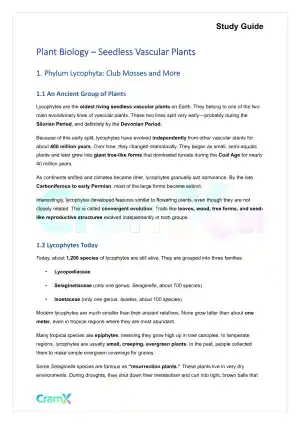 Plant Biology - Seedless Vascular Plants