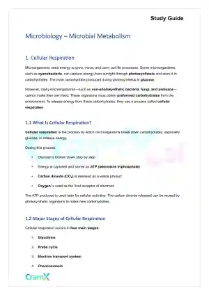 Microbiology - Microbial Metabolism