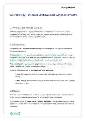 Microbiology - Diseases Cardiovascular Lymphatic Systems