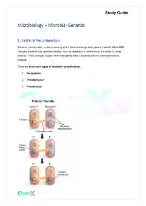 Microbiology - Microbial Genetics