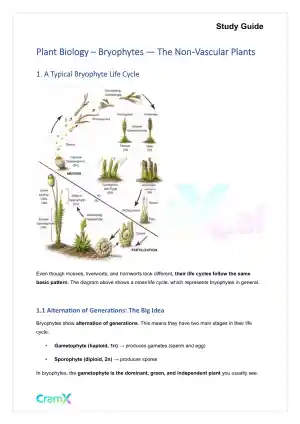 Plant Biology - Bryophytes—The Non‐Vascular Plants