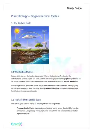 Plant Biology - Biogeochemical Cycles