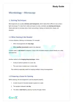 Microbiology - Microscopy
