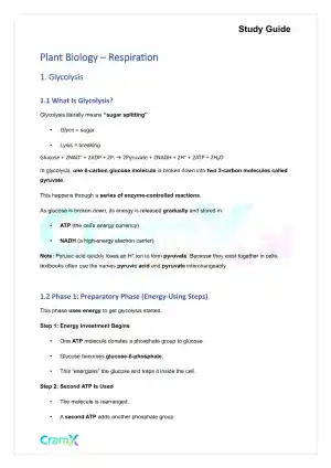 Plant Biology - Respiration