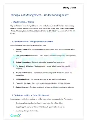 Principles of Management - Understanding Teams
