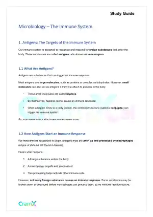 Microbiology - The Immune System
