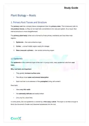 Plant Biology - Roots