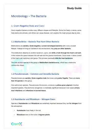 Microbiology - The Bacteria