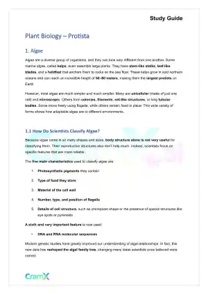 Plant Biology - Protista