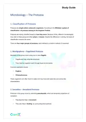 Microbiology - The Protozoa