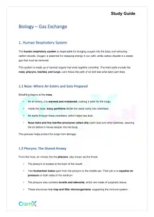 Biology - Gas Exchange