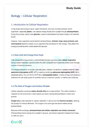 Biology - Cellular Respiration