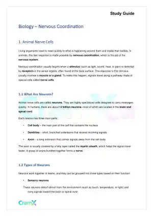 Biology - Nervous Coordination