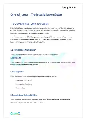 Criminal Justice - The Juvenile Justice System