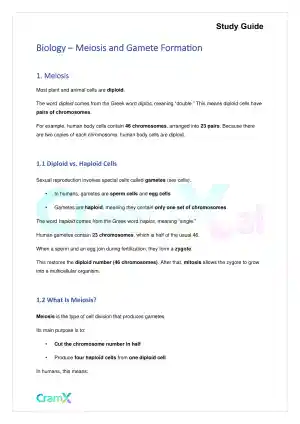 Biology - Meiosis and Gamete Formation