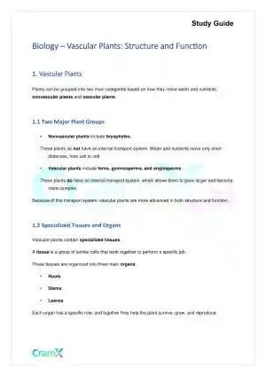Biology - Vascular Plants Structure and Function