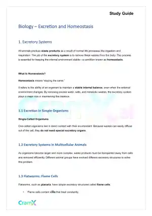 Biology - Excretion and Homeostasis