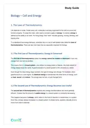 Biology - Cell and Energy