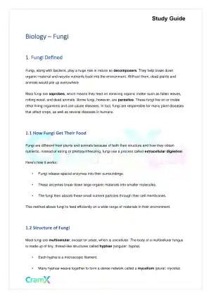 Biology - Fungi