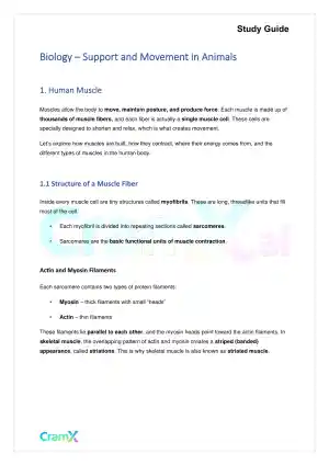 Biology - Support and Movement in Animals