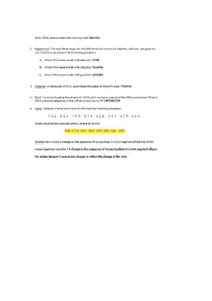 Student Exploration RNA and Protein Synthesis Voca