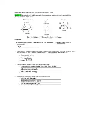 Macromolecules Building Blocks of Life for Elephan