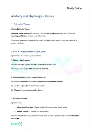 Anatomy and Physiology - Tissues