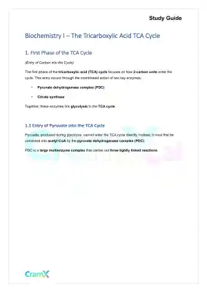 Biochemistry I - The Tricarboxylic Acid TCA Cycle