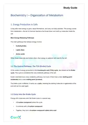 Biochemistry I - Organization of Metabolism