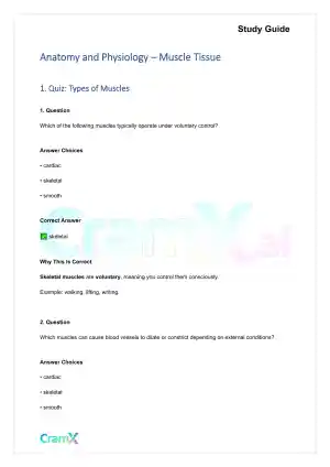Anatomy and Physiology - Muscle Tissue