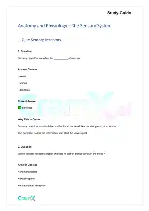 Anatomy and Physiology - The Sensory System