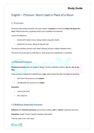 English - Pronoun Word Used in Place of a Noun