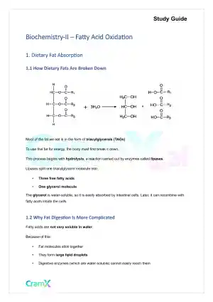 Biochemistry-II - Fatty Acid Oxidation