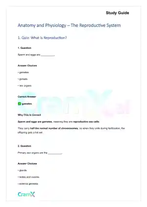 Anatomy and Physiology - The Reproductive System