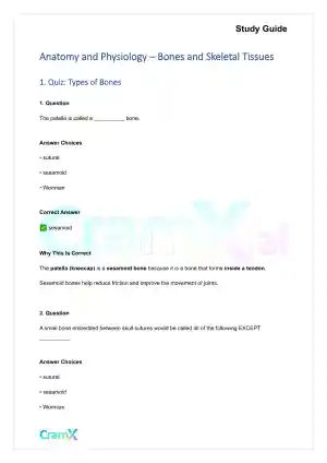 Anatomy and Physiology - Bones and Skeletal Tissues