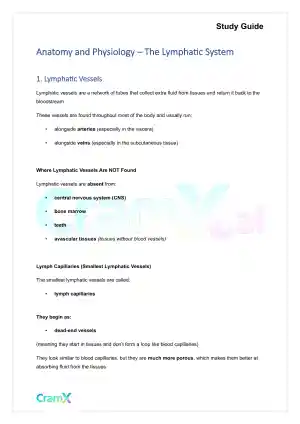 Anatomy and Physiology - The Lymphatic System