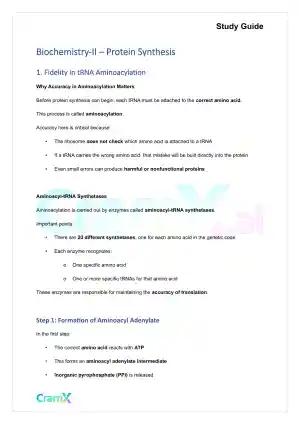 Biochemistry-II - Protein Synthesis