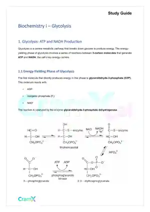 Biochemistry I - Glycolysis
