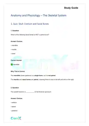 Anatomy and Physiology - The Skeletal System