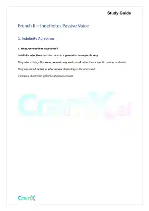 French II – Indefinites Passive Voice