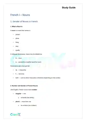 French I - Nouns
