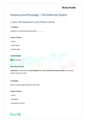 Anatomy and Physiology - The Endocrine System