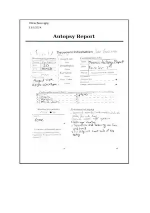 Anna Garcia Forensic Report