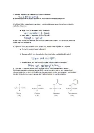 Protein Structure