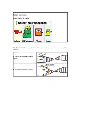 Amoeba Sisters Video Recap DNA Replication
