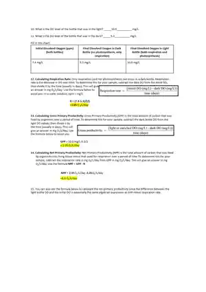 Calculating GPP and NPP